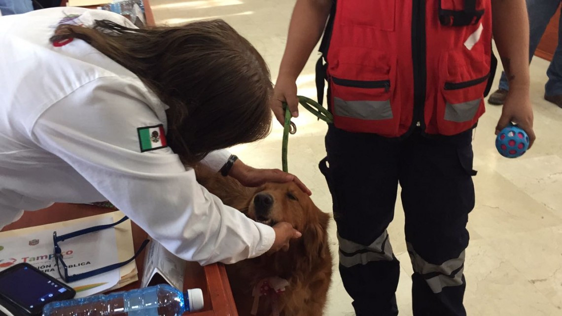 Reciben con honores a Alondra, la perra rescatista
