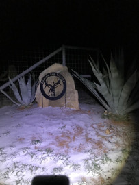 Reporta ganadería daños mínimos por frente frío en Nuevo Laredo