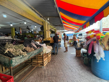 Consumidores reynosenses no sufrirán aumentos en precio del tomate