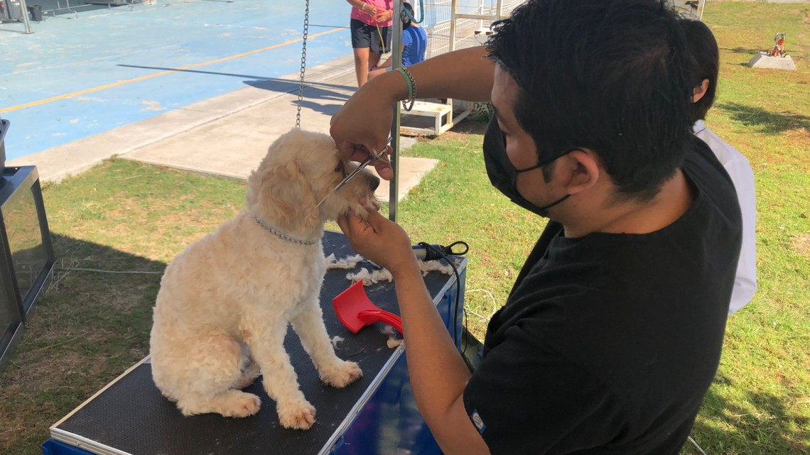 Gobierno Municipal de Nuevo Laredo realiza la primera "Campaña Itinerante de Salud Animal" 