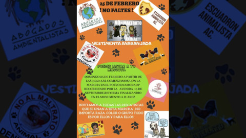Convocan a marcha por derechos de los animales