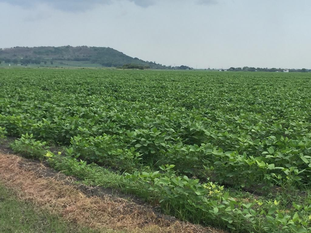 Lamentan recortes del presupuesto para el campo