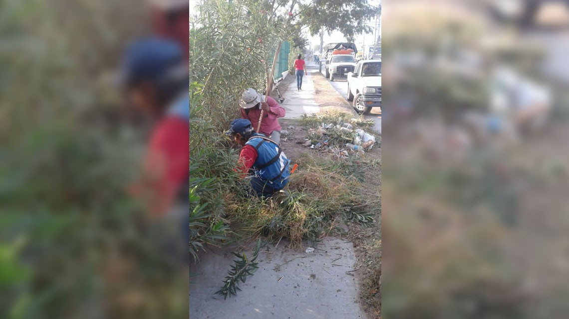 CSPP realiza labores de limpieza en calles y avenidas