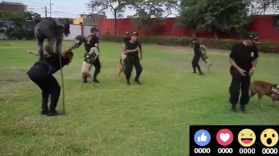 Versión del "pasito perrón" en Perú se vuelve viral