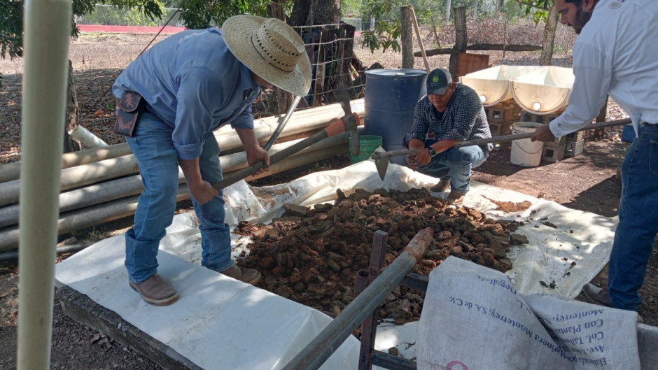 Promueven producción y uso de lixiviados en Xicoténcatl