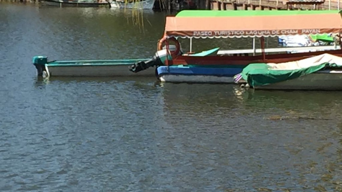 En crisis sector pesquero, por falta de regulación y registros