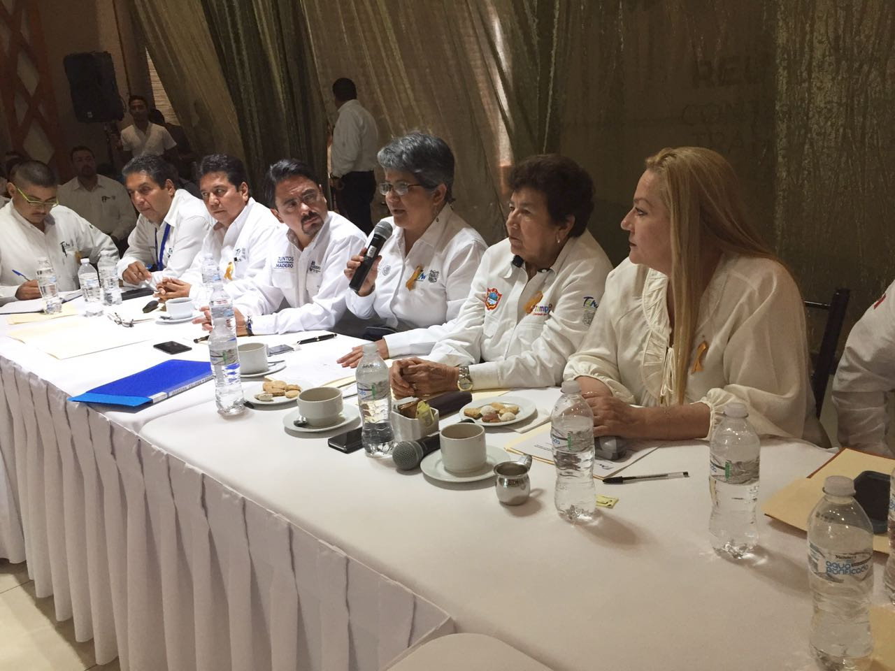 Disminuyen casos de enfermedades transmitidas por vector