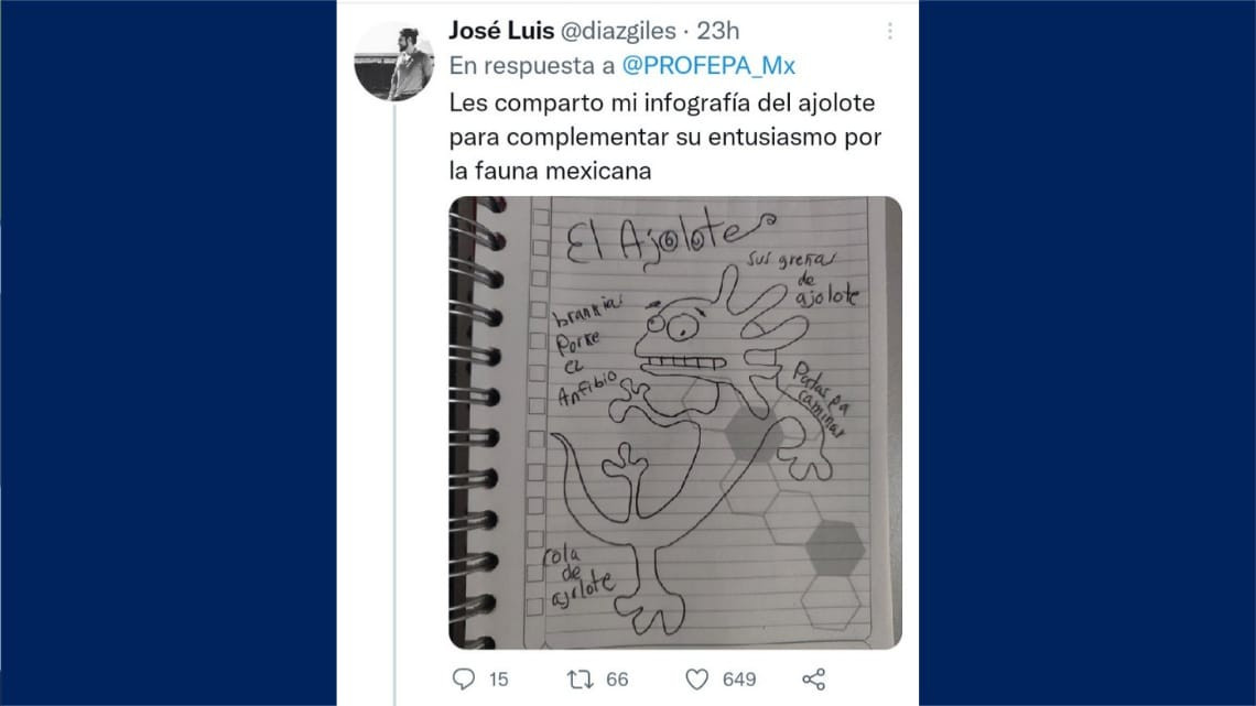 Tunden a la Profepa en redes por sus diseños de flora y fauna mexicana