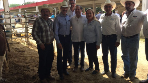 Será mejorada la producción ganadera en el campo de Tamaulipas