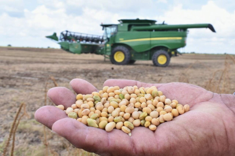 Arrancan siembras del ciclo agrícola Otoño-Invierno 2022-2023