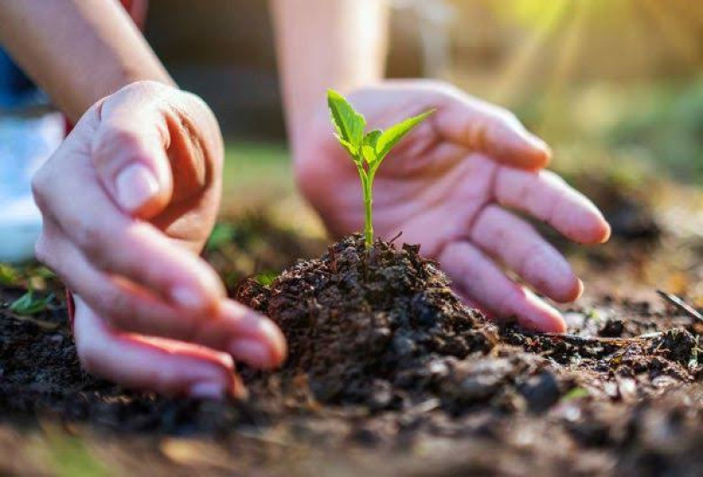 Gozar de un medio ambiente limpio ya es parte de los Derechos humanos
