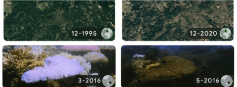 Google conmemora Día de la Tierra con Doodle sobre impacto climático