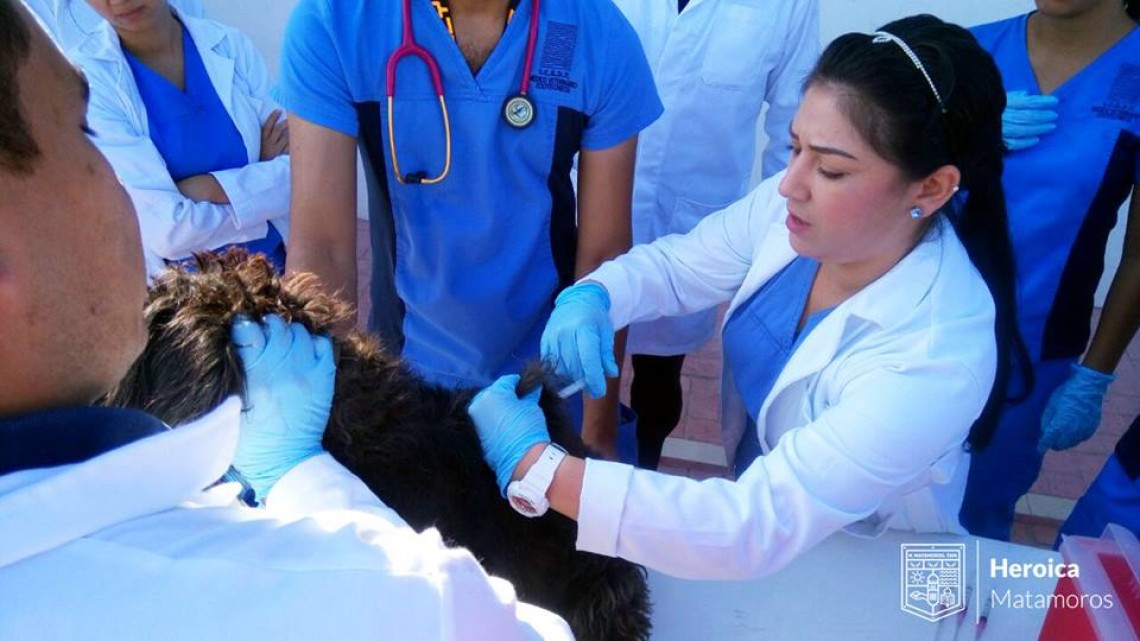 Llevan a cabo programa "Mascota Sana, Familia Sana"