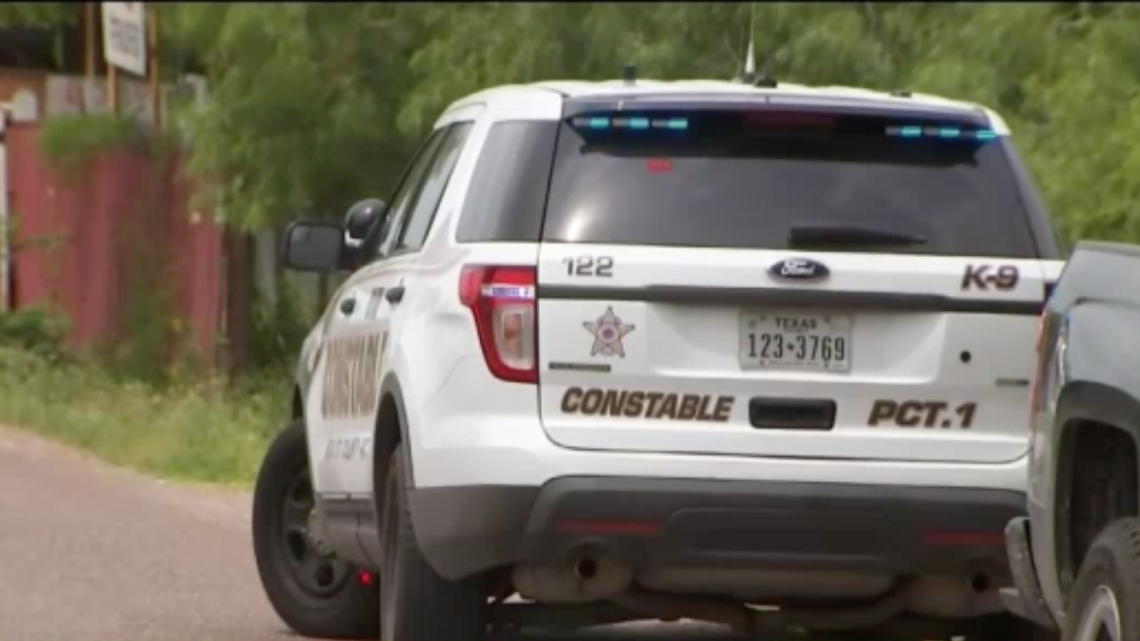 Autoridades decomisan droga durante operativo en Donna