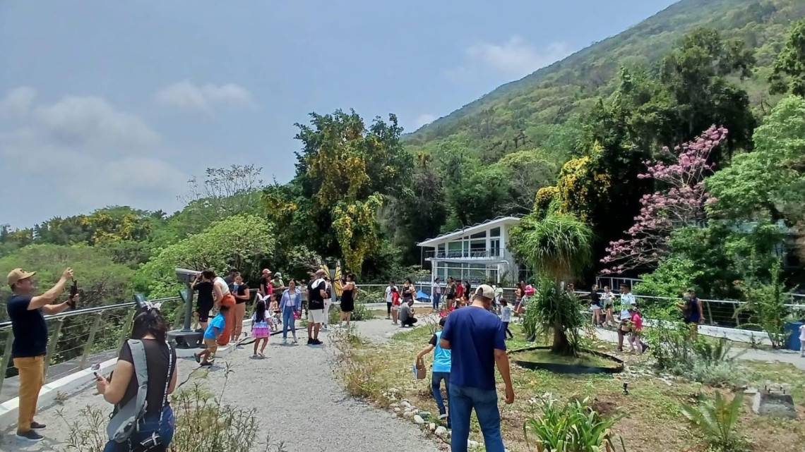 Tiene Tamaulipas una gran riqueza de aves : Comisión de Parques