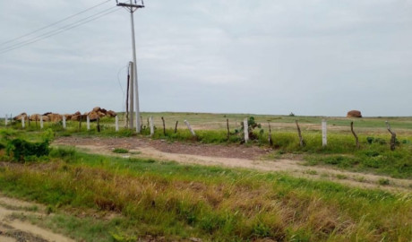 Regulariza ITAVU más de 800 colonias y asentamientos en Tamaulipas