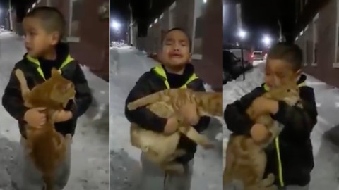 Niño llora suplicando poder quedarse con un gato callejero