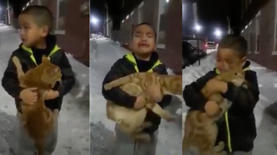 Niño llora suplicando poder quedarse con un gato callejero