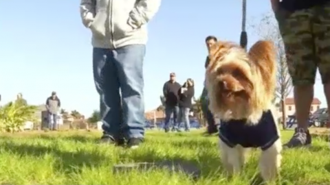 Inauguran parque para perros en Mission