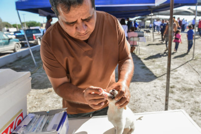 Inicia campaña de vacunación de mascotas 
