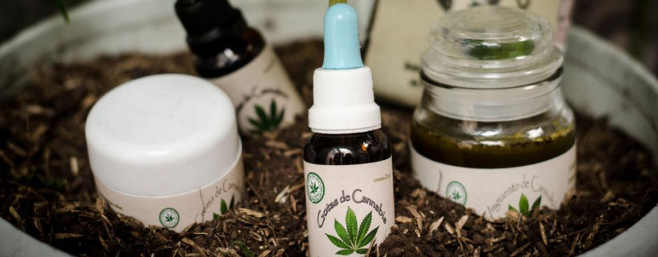 Mariguana medicinal buen negocio para el mercado negro, dice Arquidiócesis