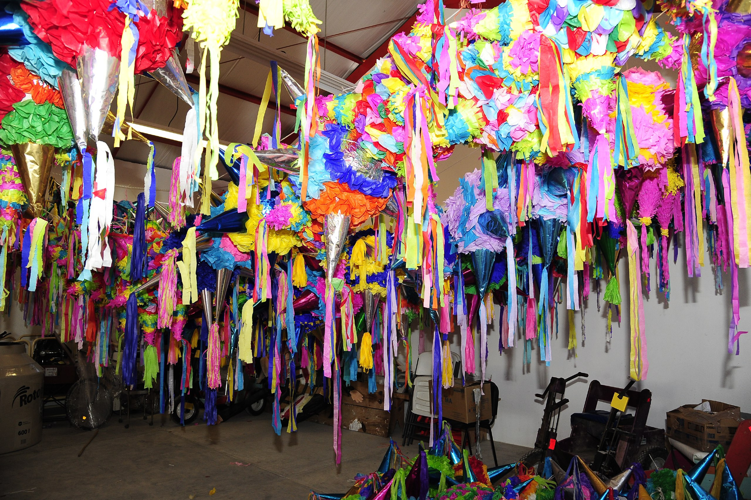 Apoya DIF, actividades productivas