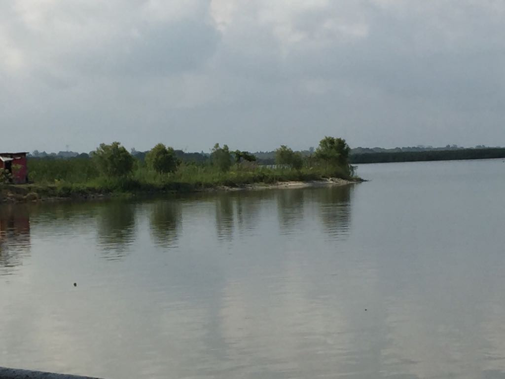 Bajos niveles de Laguna, afecta el sector pesquero