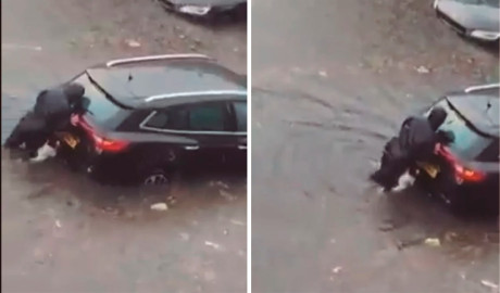 Perrito ayuda a su dueña a empujar el auto para salir de inundación
