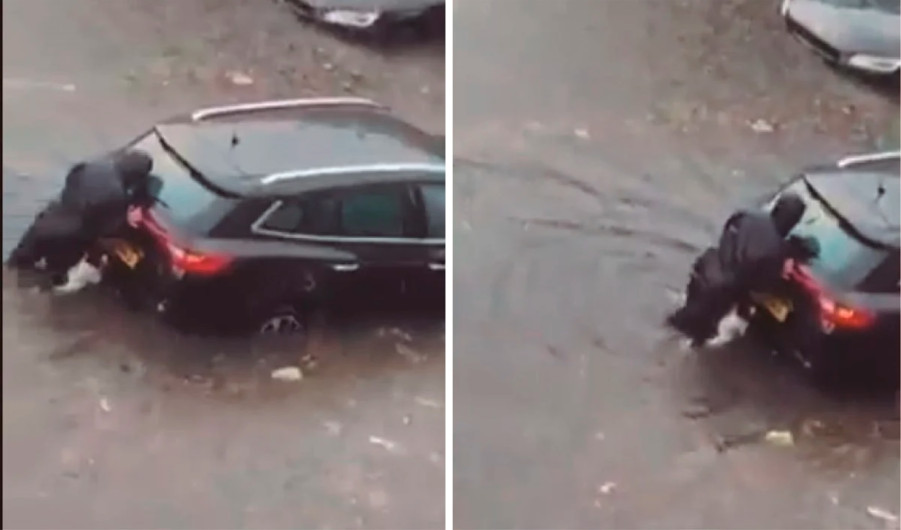 Perrito ayuda a su dueña a empujar el auto para salir de inundación