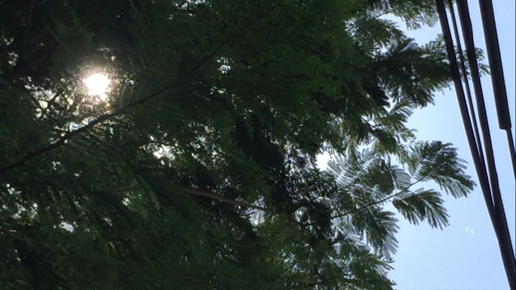 Sector salud atento ante golpes de calor