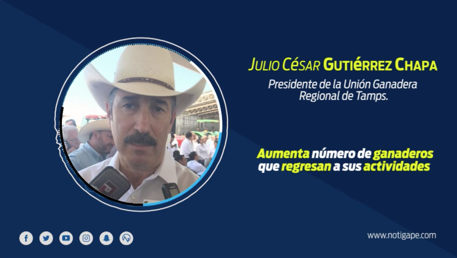 Aumenta número de ganaderos que regresan a sus actividades