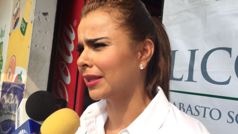 Llegará empleo temporal para 400 familias de la zona sur