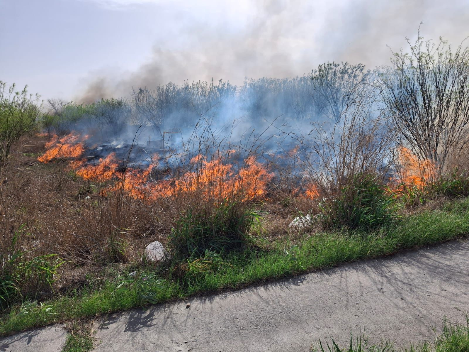 Viento desata incendios por toda la ciudad 