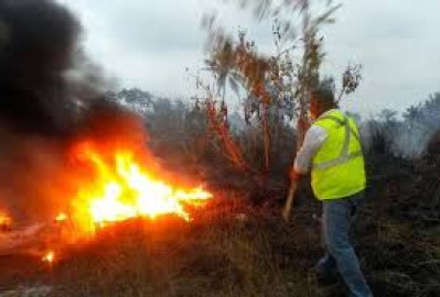 Ola de calor provoca 40 incendios 