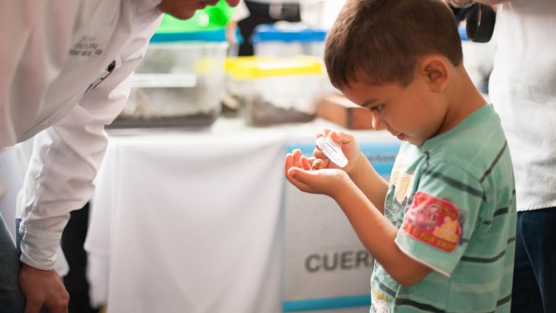 Llega a El Mante, Feria de Servicios Asistenciales