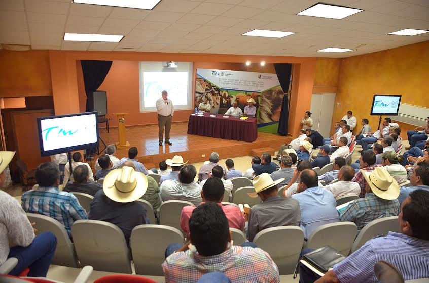 Atenderán problema de plagas en bovinos