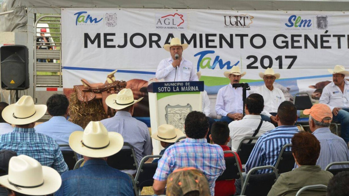 Ganaderos fortalecen su hato con subasta y mejoramiento genético