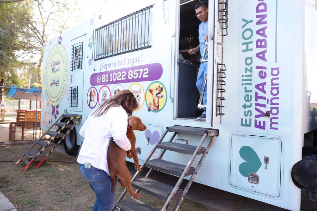 Inician campaña de esterilización gratuita de perros y gatos 