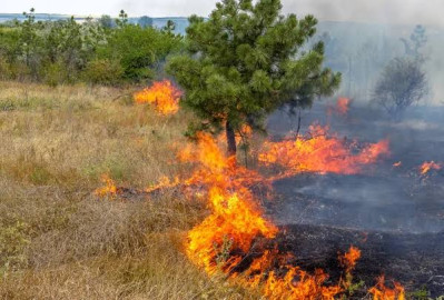 Altas temperaturas mantienen riesgo de incendios forestales en el Valle de Texas