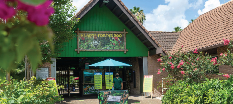 Reabre el zoológico Gladys Porter en Brownsville 