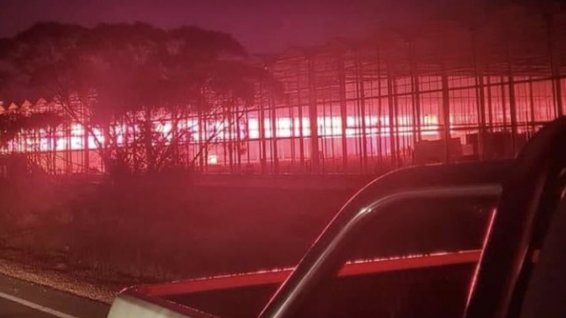 Misterioso resplandor rosa causa temor en Australia: era un sembradío de marihuana