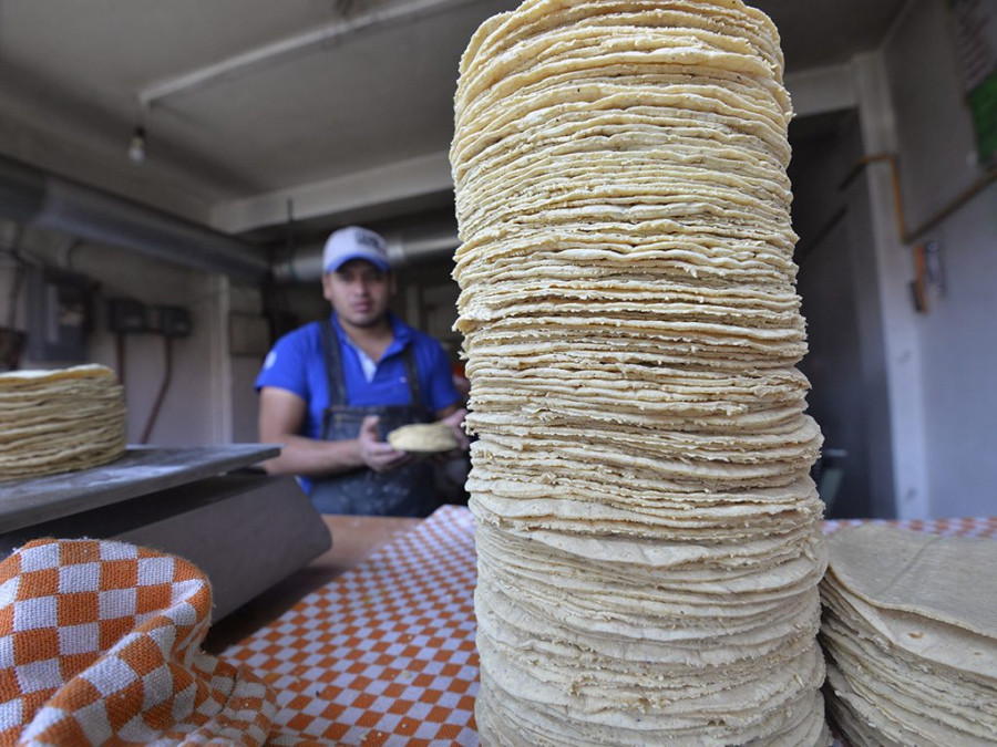 Buscan reducir a 10 pesos el kilo de tortilla