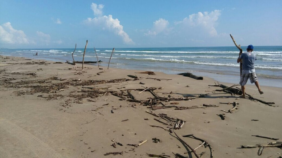 Llega palizada a playa Miramar