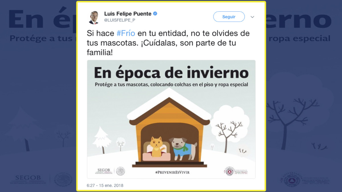 Recomienda PC proteger a mascotas del frío