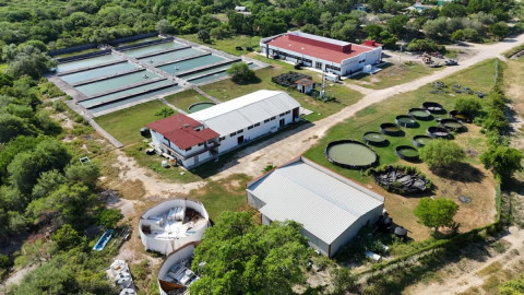 Fortalece Gobierno del Estado infraestructura educativa en la Universidad Tecnológica del Mar de Tamaulipas Bicentenario