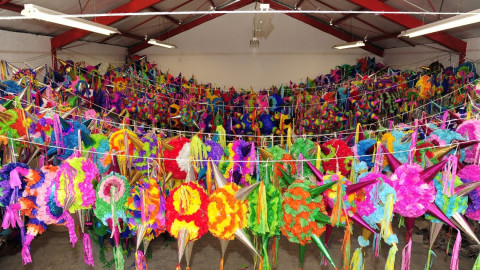 Apoya DIF, actividades productivas