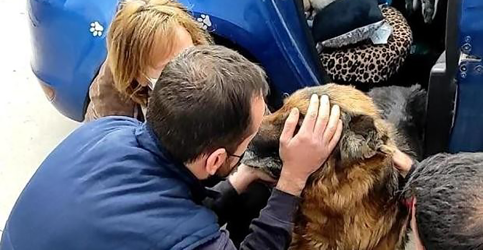 Perrito se reencuentra con su familia tras seis años extraviado