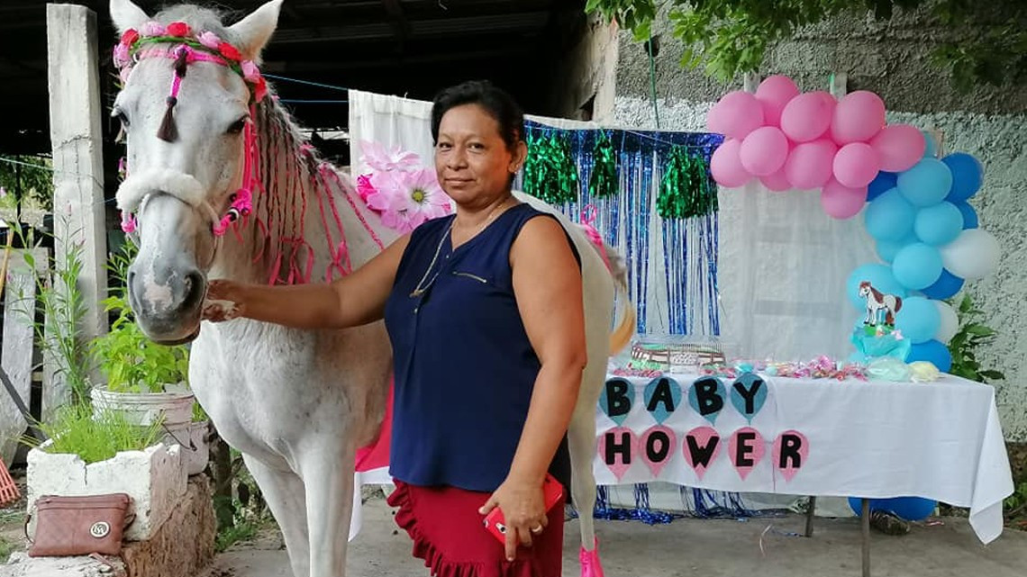 Hacen baby shower a una yegua en Yucatán 