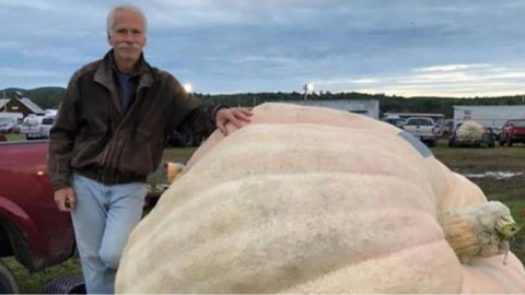 ¡Impresionante! Esto pesa la calabaza más grande cultivada en Latinoamérica