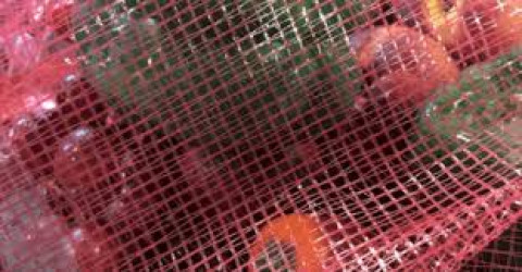 Banco de Alimentos en RGV organizará una entrega masiva de despensas